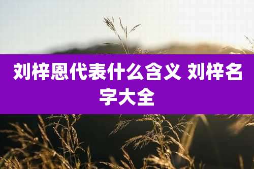 刘梓恩代表什么含义 刘梓名字大全