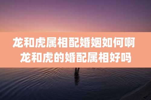 龙和虎属相配婚姻如何啊 龙和虎的婚配属相好吗
