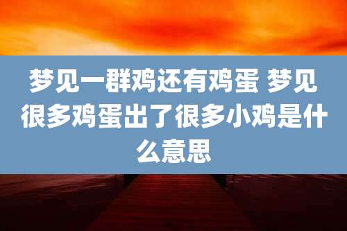 梦见一群鸡还有鸡蛋 梦见很多鸡蛋出了很多小鸡是什么意思