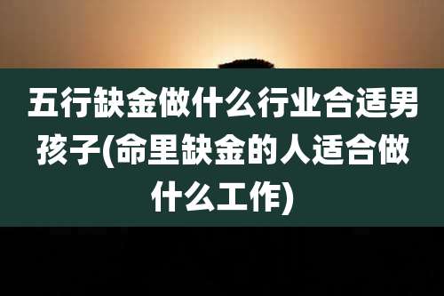 五行缺金做什么行业合适男孩子(命里缺金的人适合做什么工作)