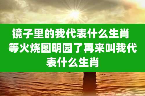 镜子里的我代表什么生肖 等火烧圆明园了再来叫我代表什么生肖