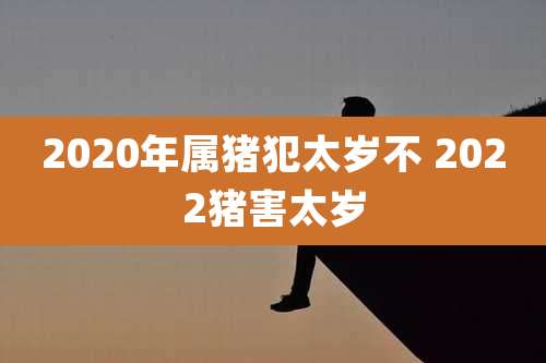 2020年属猪犯太岁不 2022猪害太岁