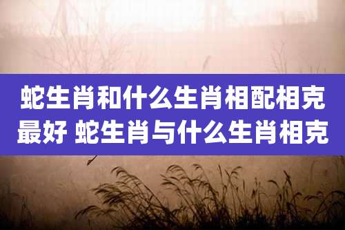 蛇生肖和什么生肖相配相克最好 蛇生肖与什么生肖相克