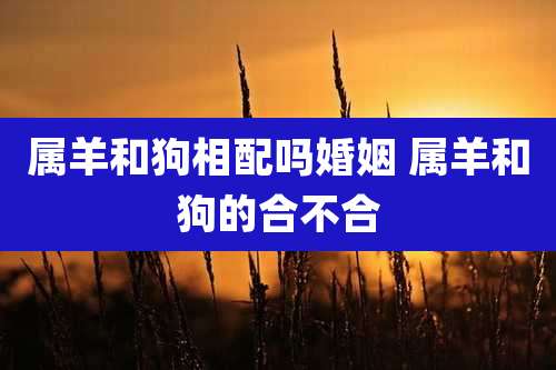 属羊和狗相配吗婚姻 属羊和狗的合不合