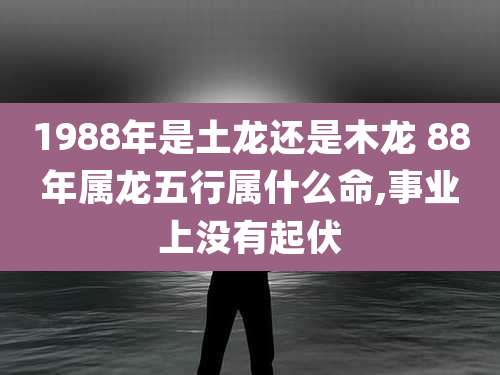 1988年是土龙还是木龙 88年属龙五行属什么命,事业上没有起伏
