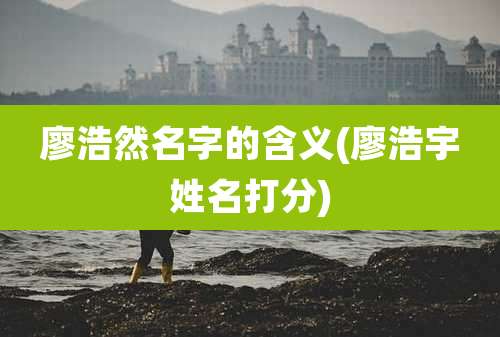 廖浩然名字的含义(廖浩宇姓名打分)