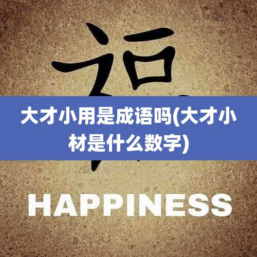 大才小用是成语吗(大才小材是什么数字)