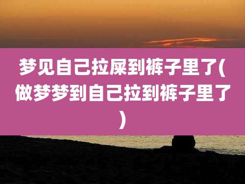 梦见自己拉屎到裤子里了(做梦梦到自己拉到裤子里了)