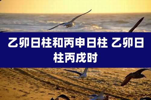 乙卯日柱和丙申日柱 乙卯日柱丙戌时