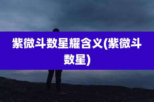 紫微斗数星耀含义(紫微斗数星)