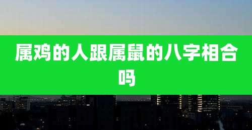 属鸡的人跟属鼠的八字相合吗