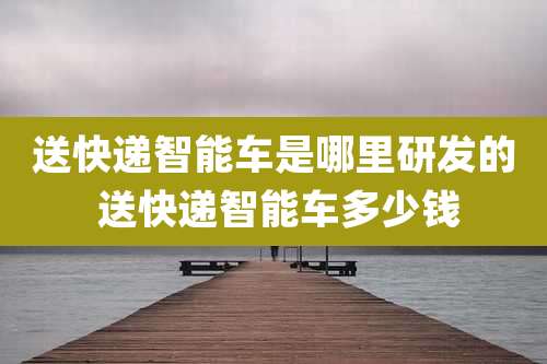 送快递智能车是哪里研发的 送快递智能车多少钱