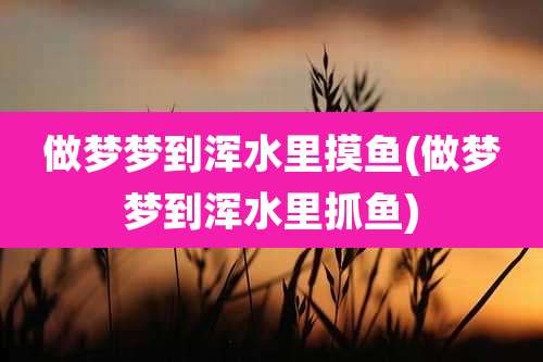 做梦梦到浑水里摸鱼(做梦梦到浑水里抓鱼)