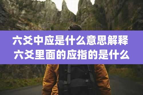 六爻中应是什么意思解释 六爻里面的应指的是什么