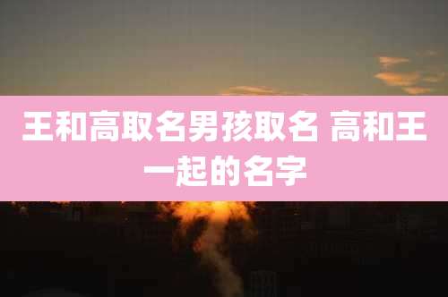 王和高取名男孩取名 高和王一起的名字