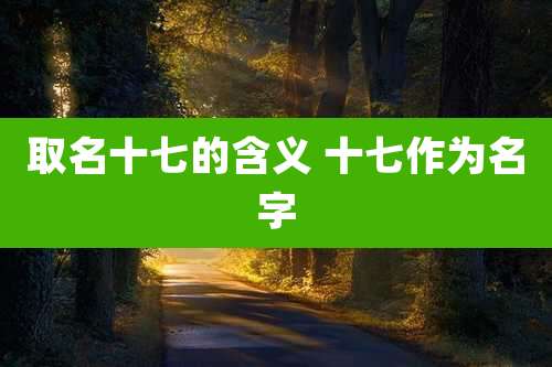 取名十七的含义 十七作为名字