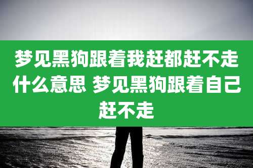 梦见黑狗跟着我赶都赶不走什么意思 梦见黑狗跟着自己赶不走