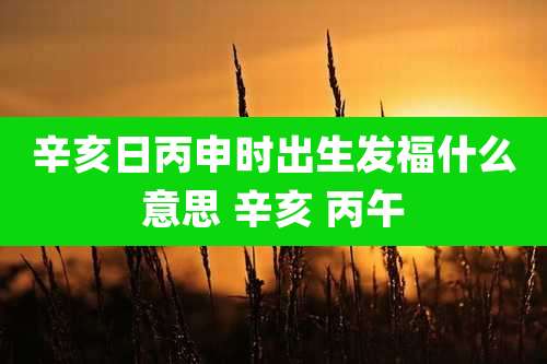辛亥日丙申时出生发福什么意思 辛亥 丙午
