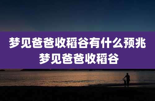 梦见爸爸收稻谷有什么预兆 梦见爸爸收稻谷