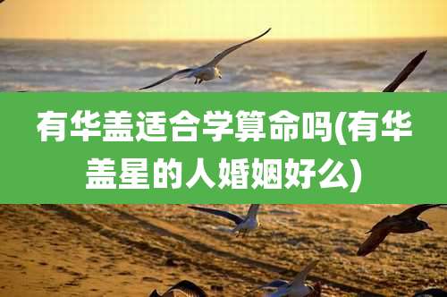 有华盖适合学算命吗(有华盖星的人婚姻好么)