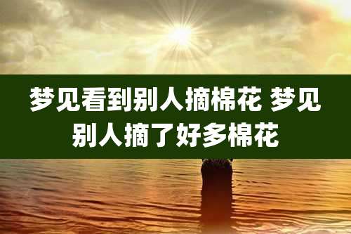 梦见看到别人摘棉花 梦见别人摘了好多棉花