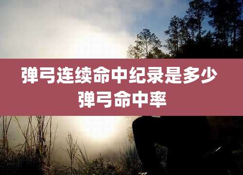 弹弓连续命中纪录是多少 弹弓命中率