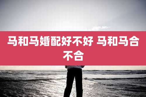 马和马婚配好不好 马和马合不合