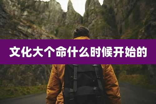 文化大个命什么时候开始的