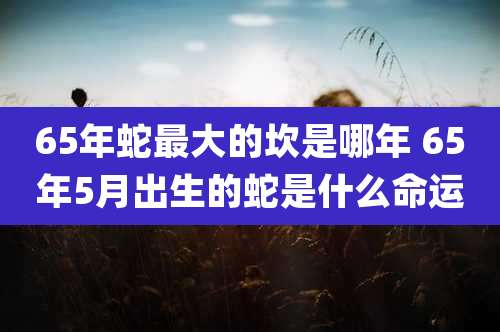 65年蛇最大的坎是哪年 65年5月出生的蛇是什么命运
