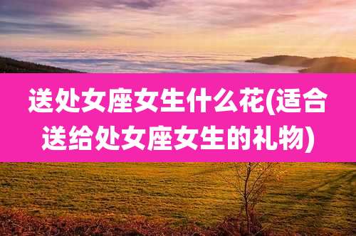 送处女座女生什么花(适合送给处女座女生的礼物)