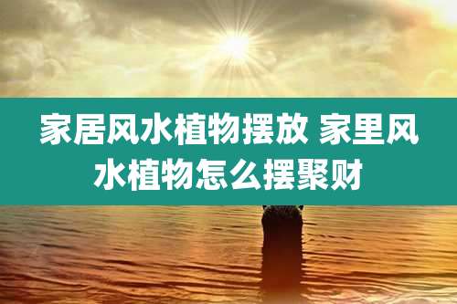 家居风水植物摆放 家里风水植物怎么摆聚财