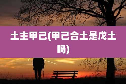 土主甲己(甲己合土是戊土吗)