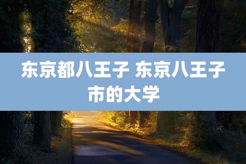 东京都八王子 东京八王子市的大学