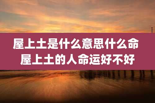 屋上土是什么意思什么命 屋上土的人命运好不好