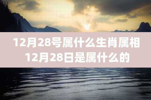 12月28号属什么生肖属相 12月28日是属什么的
