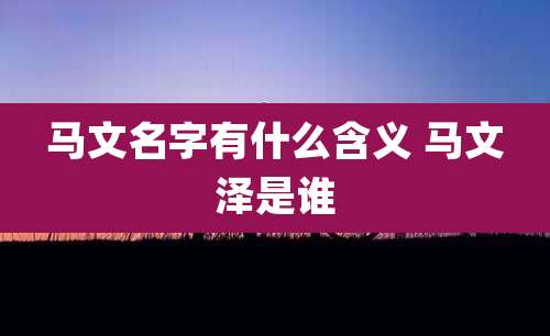 马文名字有什么含义 马文泽是谁