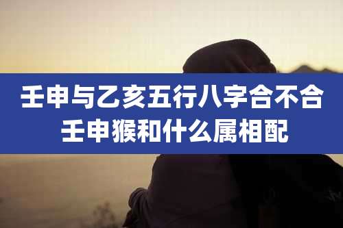 壬申与乙亥五行八字合不合 壬申猴和什么属相配