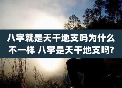 八字就是天干地支吗为什么不一样 八字是天干地支吗?