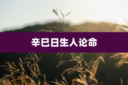 辛巳日生人论命