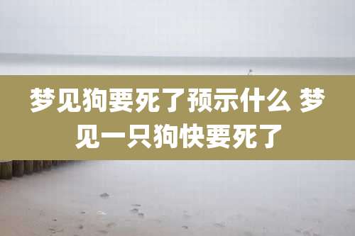 梦见狗要死了预示什么 梦见一只狗快要死了