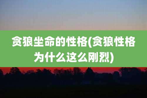 贪狼坐命的性格(贪狼性格为什么这么刚烈)