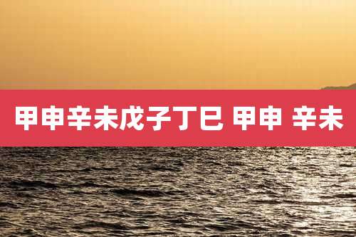 甲申辛未戊子丁巳 甲申 辛未