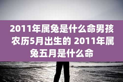 2011年属兔是什么命男孩 农历5月出生的 2011年属兔五月是什么命