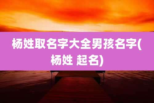 杨姓取名字大全男孩名字(杨姓 起名)