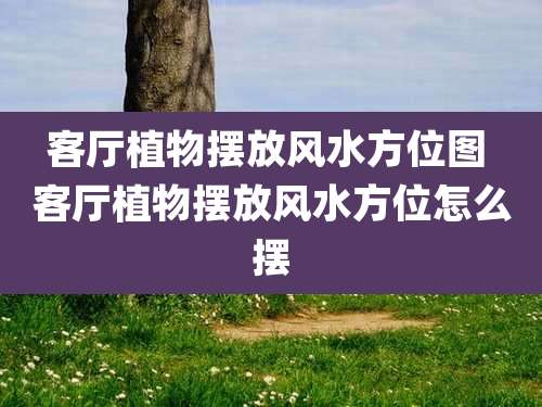 客厅植物摆放风水方位图 客厅植物摆放风水方位怎么摆