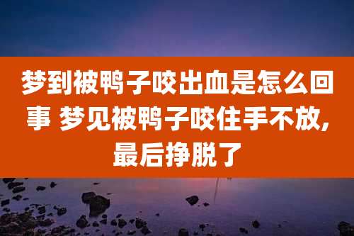 梦到被鸭子咬出血是怎么回事 梦见被鸭子咬住手不放,最后挣脱了