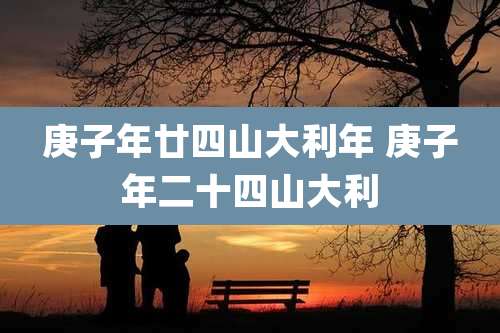 庚子年廿四山大利年 庚子年二十四山大利