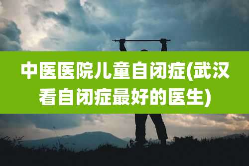 中医医院儿童自闭症(武汉看自闭症最好的医生)