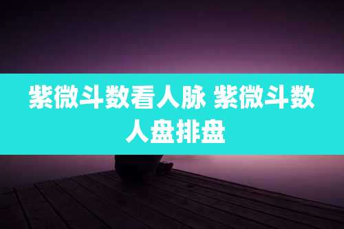紫微斗数看人脉 紫微斗数 人盘排盘