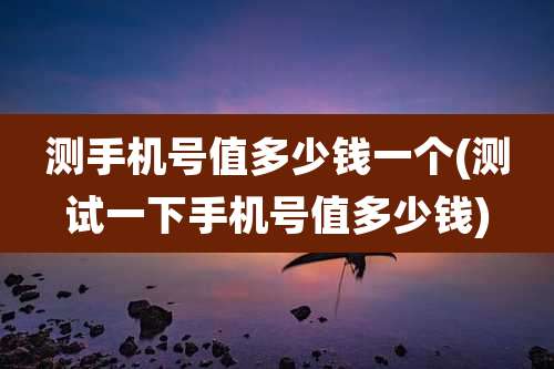 测手机号值多少钱一个(测试一下手机号值多少钱)